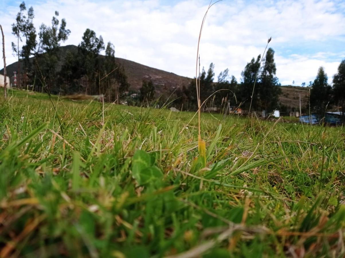 Camping Las Acacias 瓜塔维塔 外观 照片