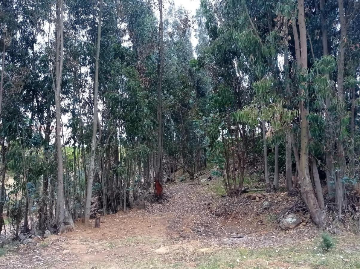 Camping Las Acacias 瓜塔维塔 外观 照片