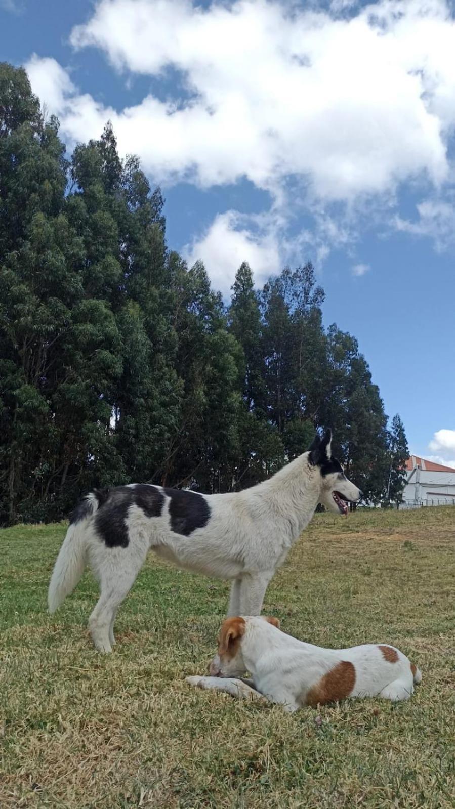 Camping Las Acacias 瓜塔维塔 外观 照片