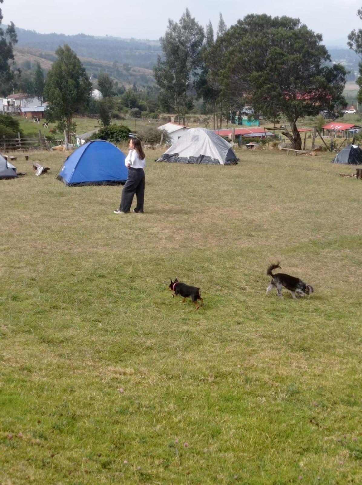 Camping Las Acacias 瓜塔维塔 外观 照片