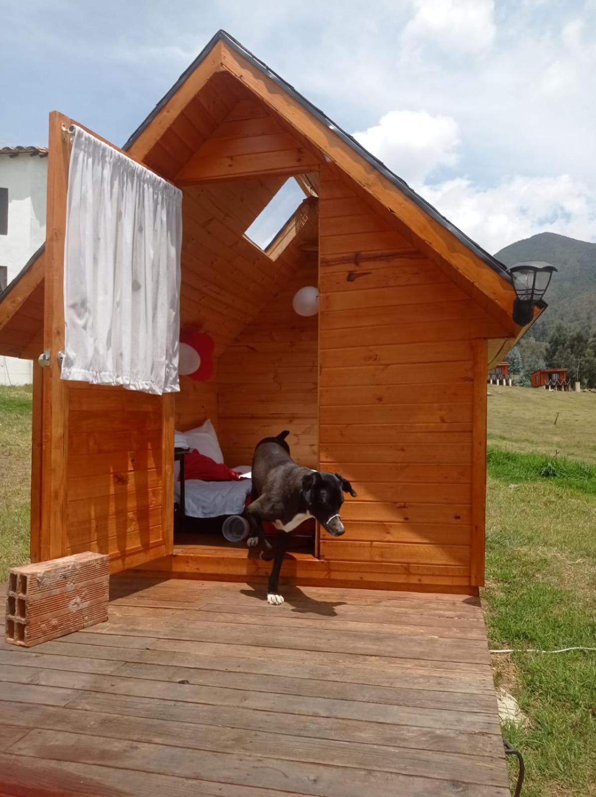 Camping Las Acacias 瓜塔维塔 外观 照片